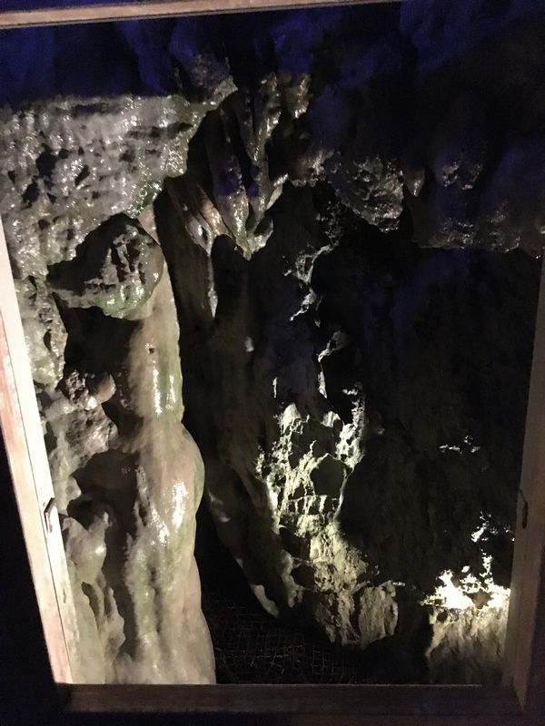 龍泉洞 鍾乳洞 洞穴ビーナス