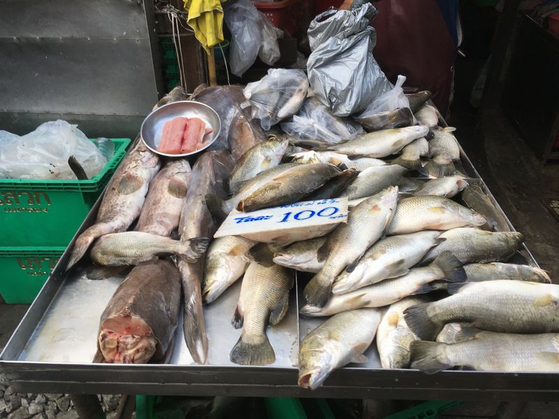 タイ メークロン線路市場 屋台 魚