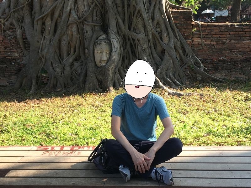 タイ アユタヤ遺跡 ワット・マハタート 菩提樹 木 根 仏頭