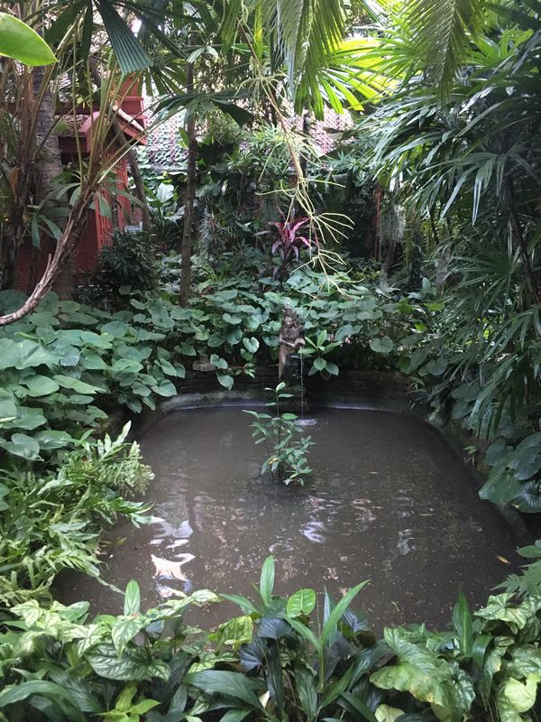 タイ バンコク ジム・トンプソンの家 庭園 池 植物